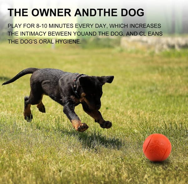 Hunde Legetøj Bold Hund Godbid Legetøj Bold, Foderbold