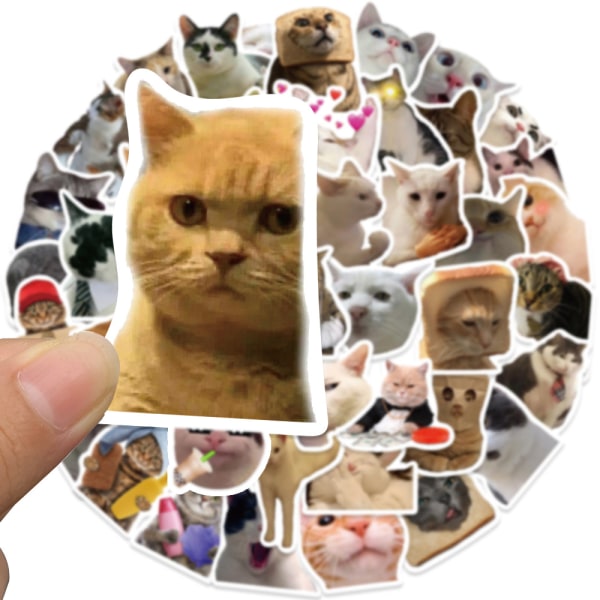 50 PCS Expression de chat Stickers, Autocollants Vinyle Graffit