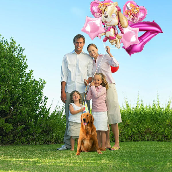 Födelsedagsfest Ballonger Rosa Ballonger Paw Patrol Ballonger Flickfödelsedag