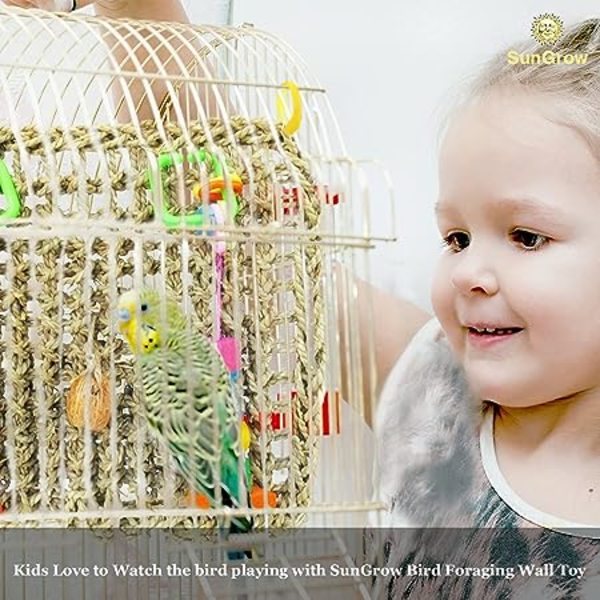 Lintukäyttöön tarkoitettu seinäruokintaleikkikalu