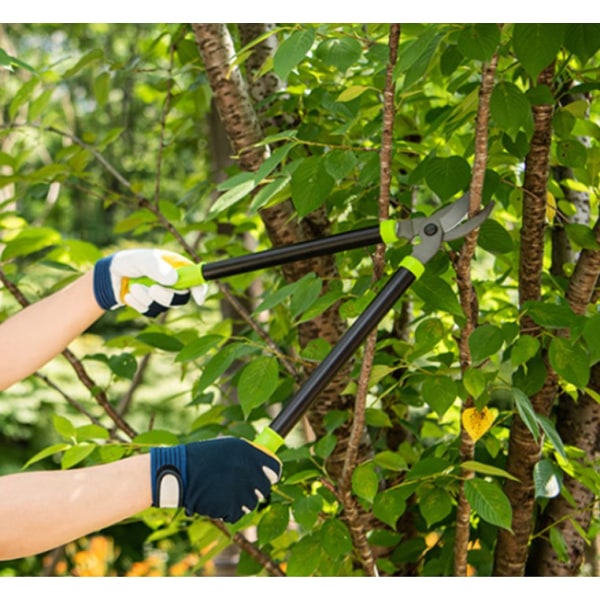 Puutarhanhoitotyökalujen leikkaaminen – hedelmäpuusakset, puutarhasakset,