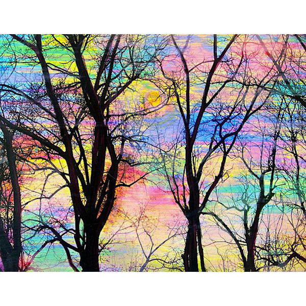 (30x40cm) 5D Timanttimaalaus Värikäs Puu Täysi Pora Embroi