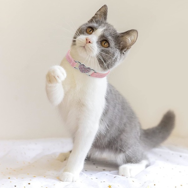 Rose-Collier pour chat en forme de coeur avec ceinture de sécuri