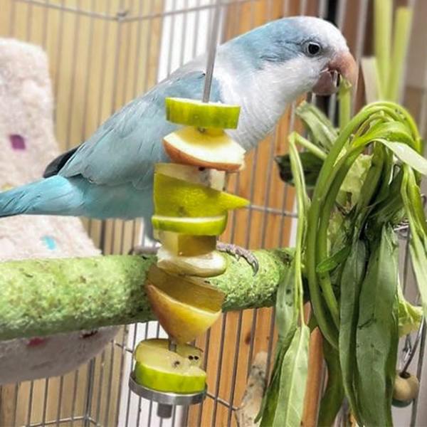 2 kappaletta papukaija ruokavartaita, ruostumattomasta teräksestä valmistettu linnunvarras, papukaijan hedelmäpidike, papukaijan tikku pidike f