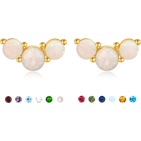 Øreringe Cubic Zirconia Stud Øreringe Brusk Øreringe til Kvinder Trendy