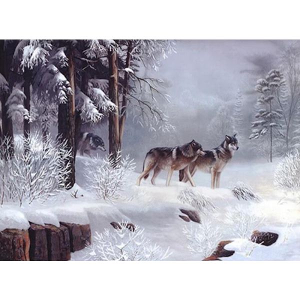 30 x 40 cm, susi lumessa Timanttimaalaus