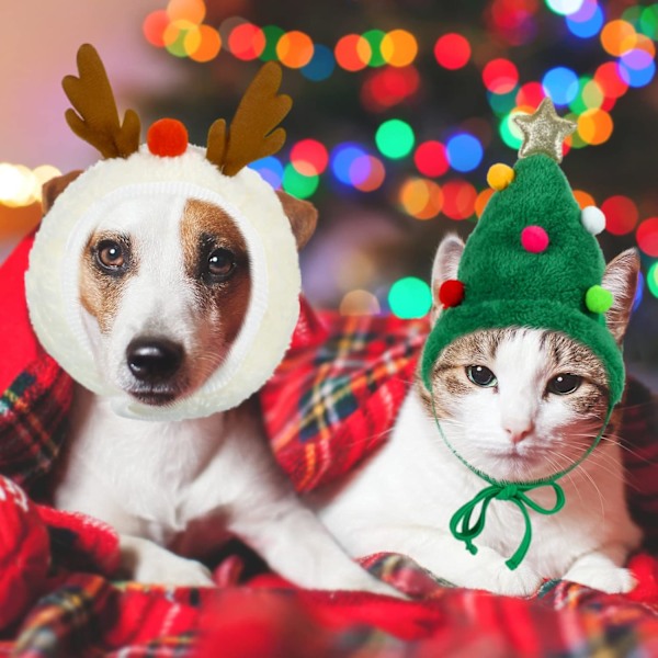 2 stk Grønn Julenisse Hundelue Hjortehode Hundekostyme Julelue for Katter Rein Hvalpe Hundelue Justerbar Juletre H