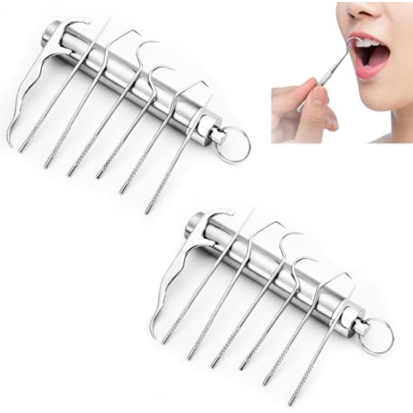 7 Pcs Stainless Steel Toothpick Set, Reusable Metal Toothpick Set with Holder for Family Outdoor Picnic Camping Travel