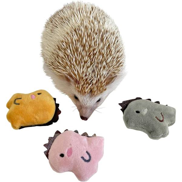 5×5×5cm 3 st Söta Små Djurtillbehör Leksaker Dinosaurie för Igelkotttillbehör Marsvin Hamster Små Husdjursleksak Present P