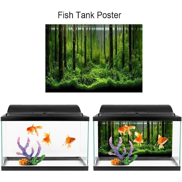 Dekorativ plakat til fiskebeholder, dekorativt papir til fiskebeholder, skovbaggrund 61 x 41cm