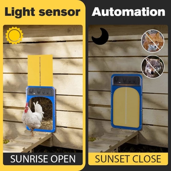 Automatisk hönshusdörr med ljussensor, blå och gul Au