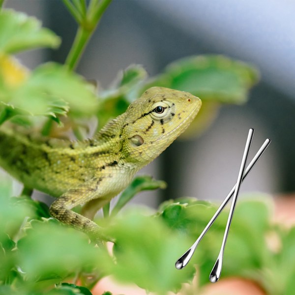 Reptilsked, Reptilfruktpulverblandning Rörmatningsked Rostfritt Stål Sked för Husdjur Crested Gecko Gargoyl