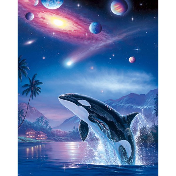 30x40 cm 5D Peinture Diamant DIY Complet,Delfin dekoration di