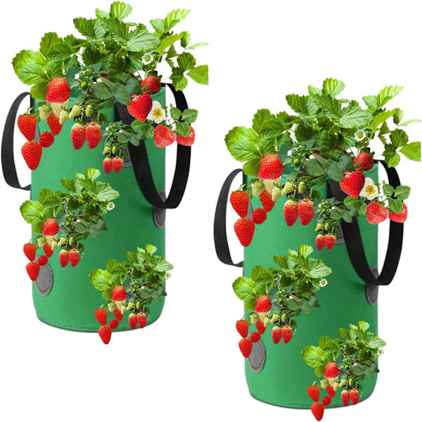 (20 x 35cm) (Grønn) 2-pakke hengende jordbærplanter