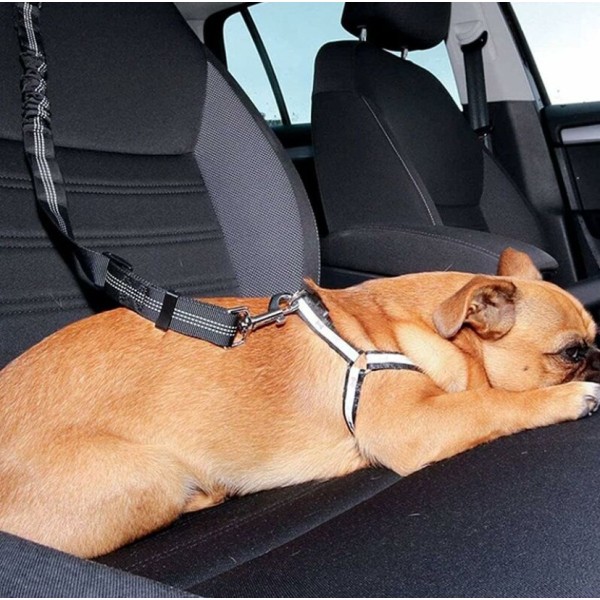 Svart bilsele hundbälte, bilsele för hundar i elastisk nylon