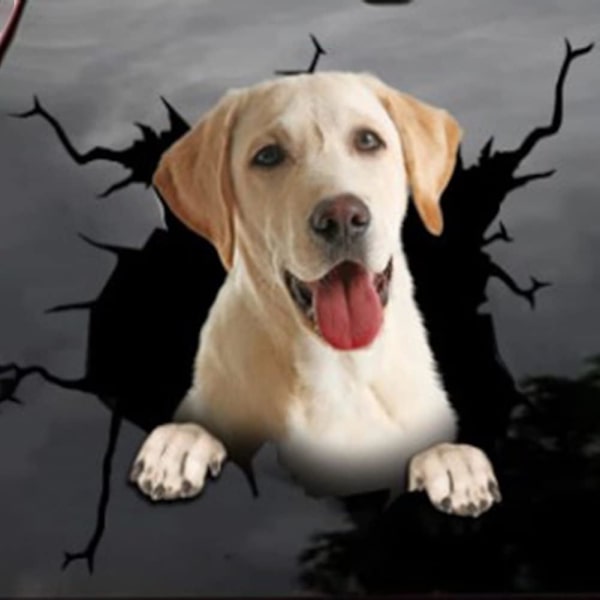 4 stk. hundebilsklistermærker, 20 cm x 20 cm 3D Labrador Retriever C
