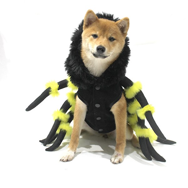 (Størrelse S) 1 Spider Cub Kostume Kæledyr Kat Edderkop Transformation Kostume, Cosplay Hund Halloween Sjov Hund