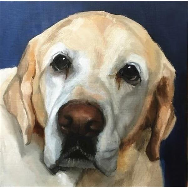 30 x 40 cm, Labrador Diamantmålning Broderi Diamantmålning