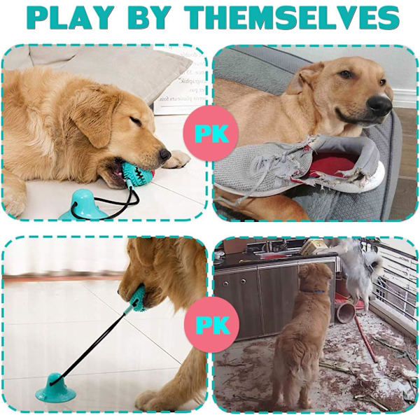 Jouet Chien Ventouse Jouet pour Chien Interactif，Nouvelle Versi
