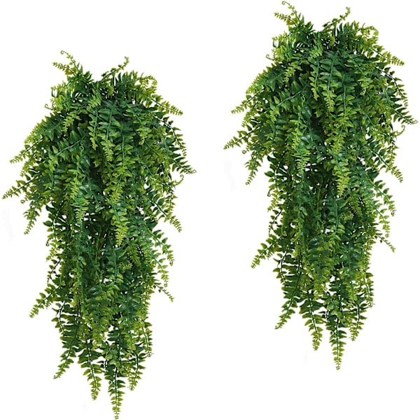 2 stk. Boston Fern hængeplanter til indendørs og udendørs, Wedd