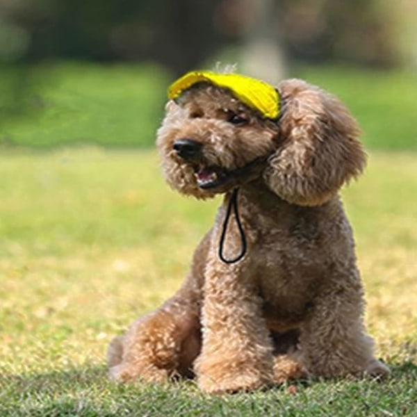 Hundebaseballkasket med ørehull, Justerbar Sommer Rejse Sport Hat til Små og Mellemstore Hunde Gul L