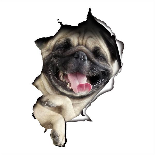 2 stycken (Hunden) Toalettdörrsdekal PVC Matt