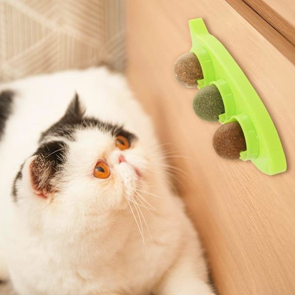 Kattgräsbollar, Ätbara Kattgräs Godis för Katter