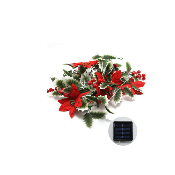 Solcellsdrivna Julblommor, Cane, Julstjärna, Europeiska