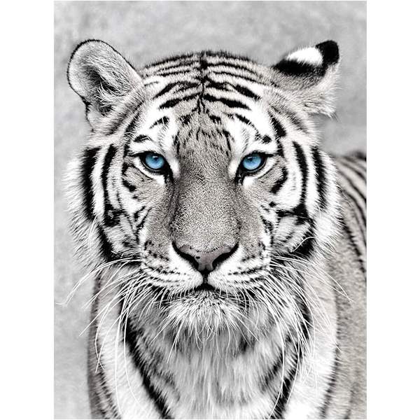 30*40 CM Tiger Diamond Painting Kits for Adults Kids, Diamon