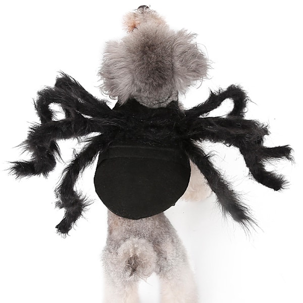 Pet Edderkop Kostume M