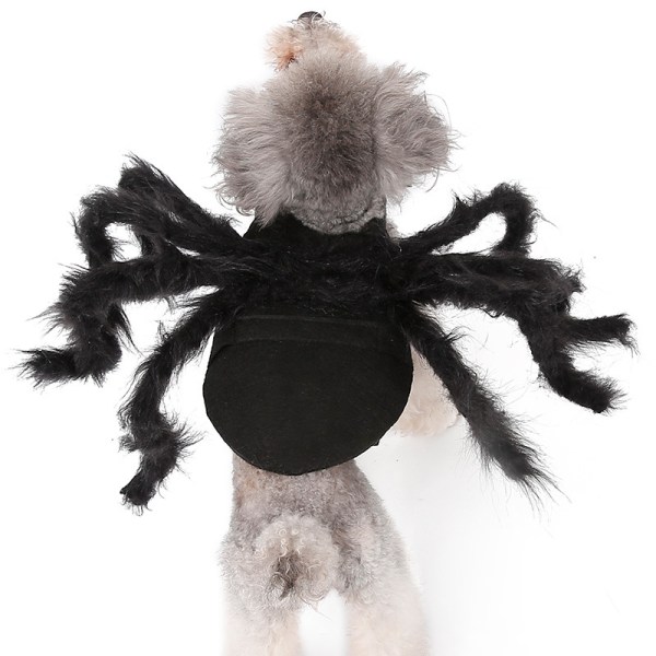 Pet Spider Costume M