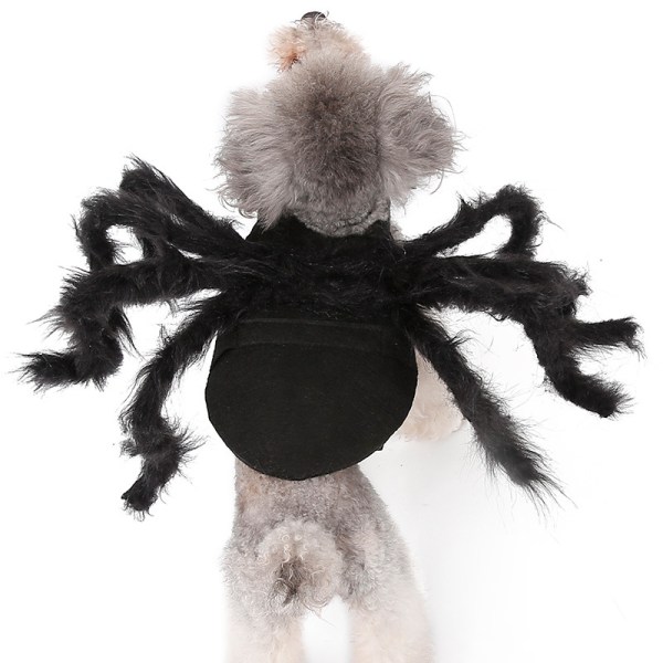 Pet Spider Kostyme M