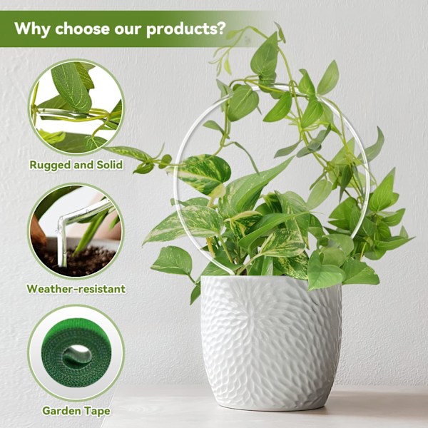 2-pack Rund Växtstöd för Krukväxter Inomhus Utomhus, Akryl Litet Växtstöd för Klätterväxter, Växtstöd för Monstera Blomma Philodendron