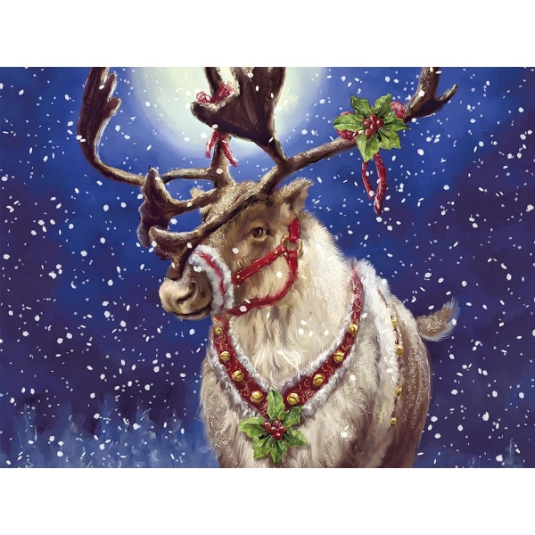 5D Christmas diamond painting (30*40) 57