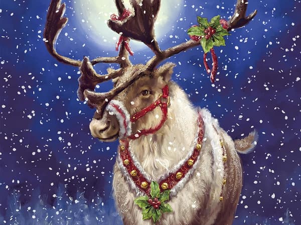 5D julediamantmaleri (30*40) 59
