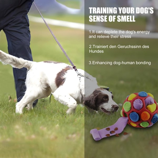 1 st Hund Snuffle Boll, Interaktiv Leksak, Oförstörbar Snuffelmatta, Hund Snuffle Leksak, Snuffelspel, Foderleksak, Lämplig för Små och Medelstora Hundar