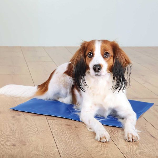 40 x 30 cm, kølemåtte til katte og hunde, blå, køler i timevis ved kropskontakt