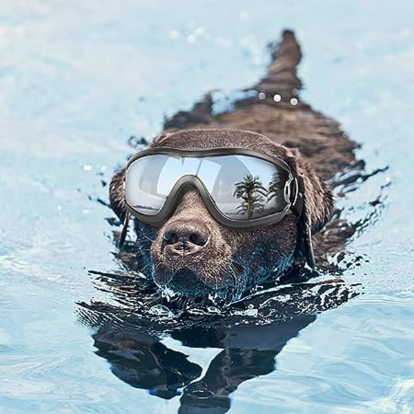 Netive beskyttelsesbriller til hunde Solbriller til kæledyr