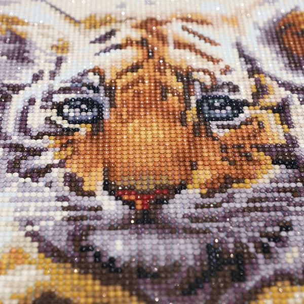 DIY 5D(52)30x40cm Diamantmaleri Kit til voksne, Diamantmaling