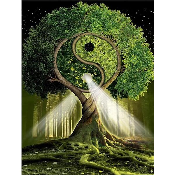 30 × 40 Tai Chi -puu timanttimaalaus (30 * 40, 1 kpl) Diamond