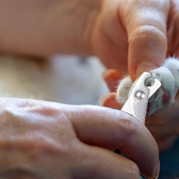 Svart katt nagelklippare - nagelklippare för små djur -