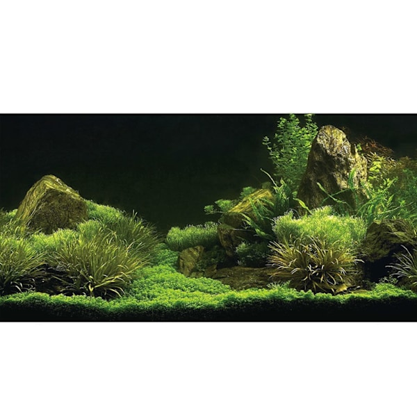 3D-effekt sjøbunn vann gress plakat selvklebende reptil terrarium akvarium bakteppe 122 x 41cm