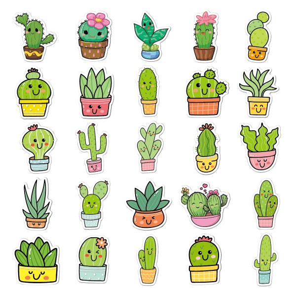 50 kaktustarraa