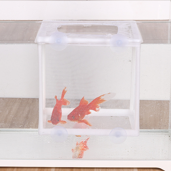 Akvarium fisk isoleringsbox, 26 * 15 * 15,5 cm, stort kläckningsnät, fiskinkubator akvarium fisk