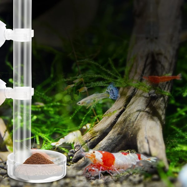 Klar Akryl Räkfoderrör Hållbar Räkfoder Fiskmatare med 2 Sugkoppar och Skål för Akvarium 20cm
