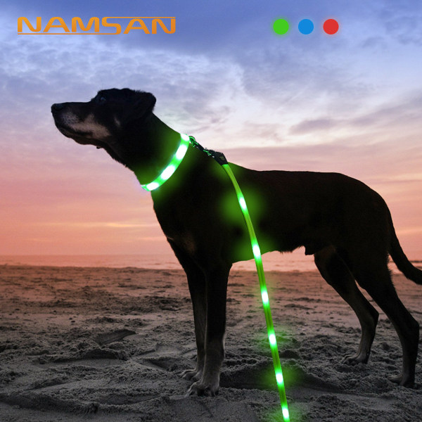 Lemmikkieläinten valoa lähettävä talutushihnapanta USB-latauspanta Koiran kävely