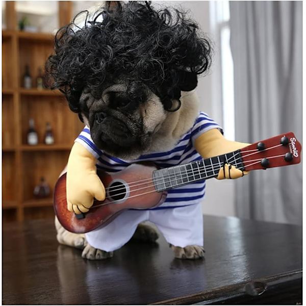 Hundkostym Gitarrspelare Halloween C