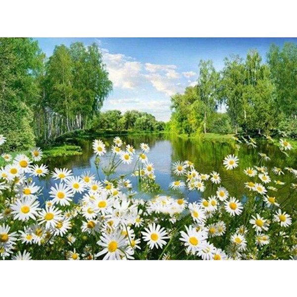 30 × 40 Krysanteemi ja timanttimaalaus joen rannalla (30 * 4