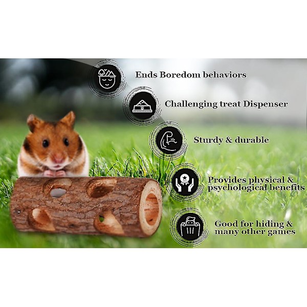 Hamster och gerbil stock tuggleksak fågel massivt trästativ molar