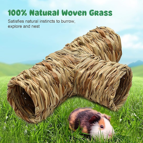 Hamster Grasstunnel Leketoy Guinea Pig Tunnel og Rørleke for